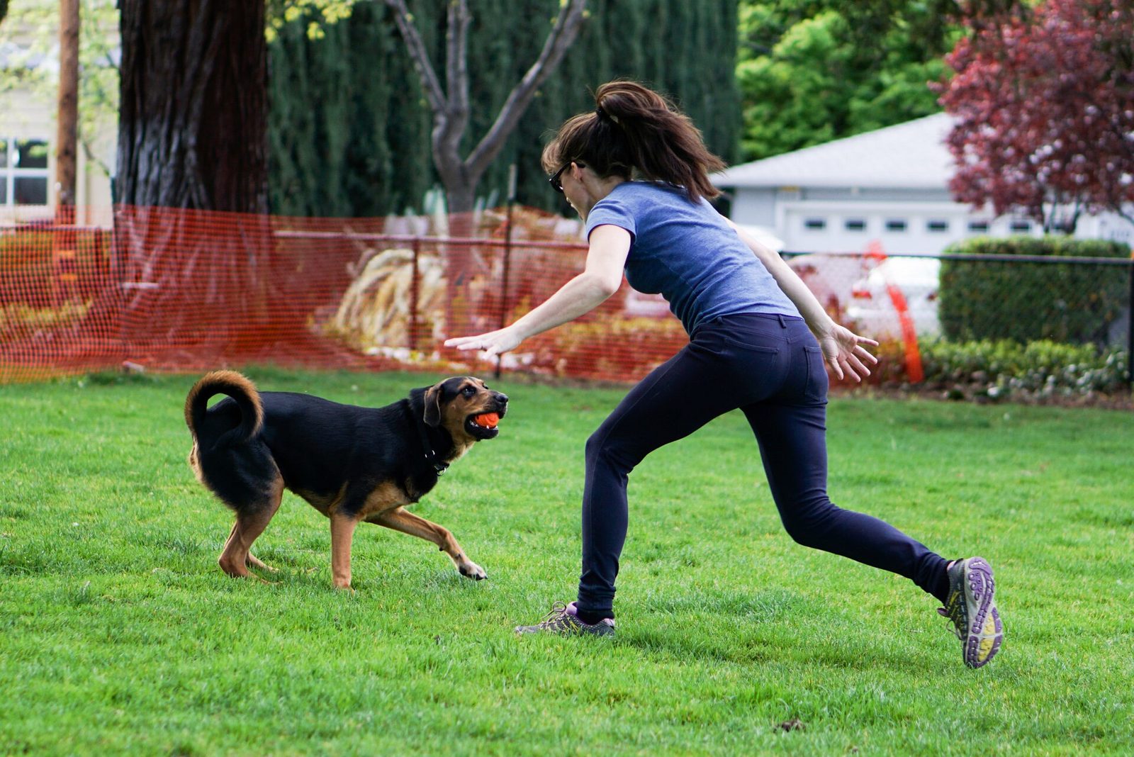 A happy dog and owner together